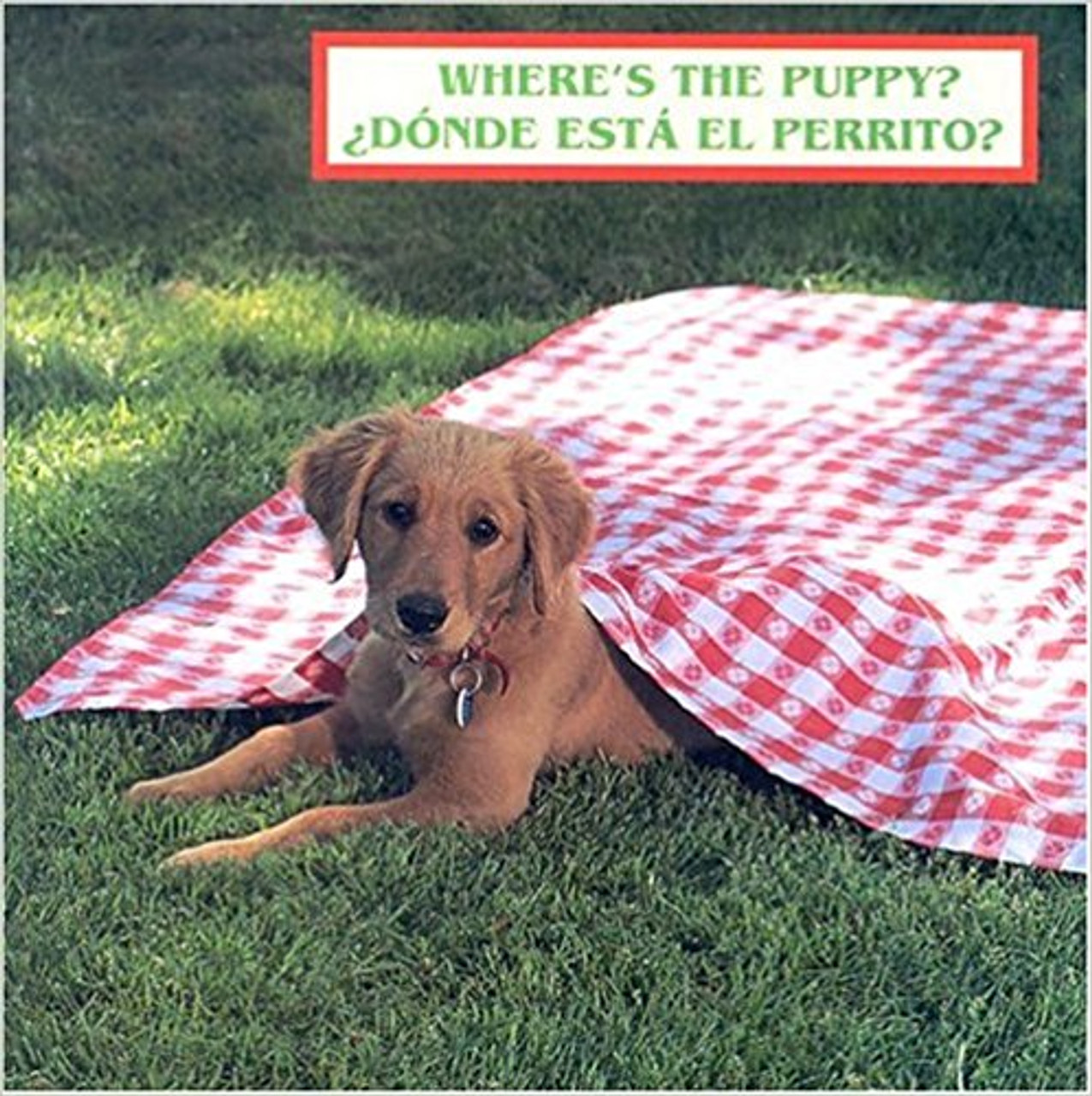 Where's the Puppy /Donde Esta el Perrito? (Spanish) by Cheryl Christian