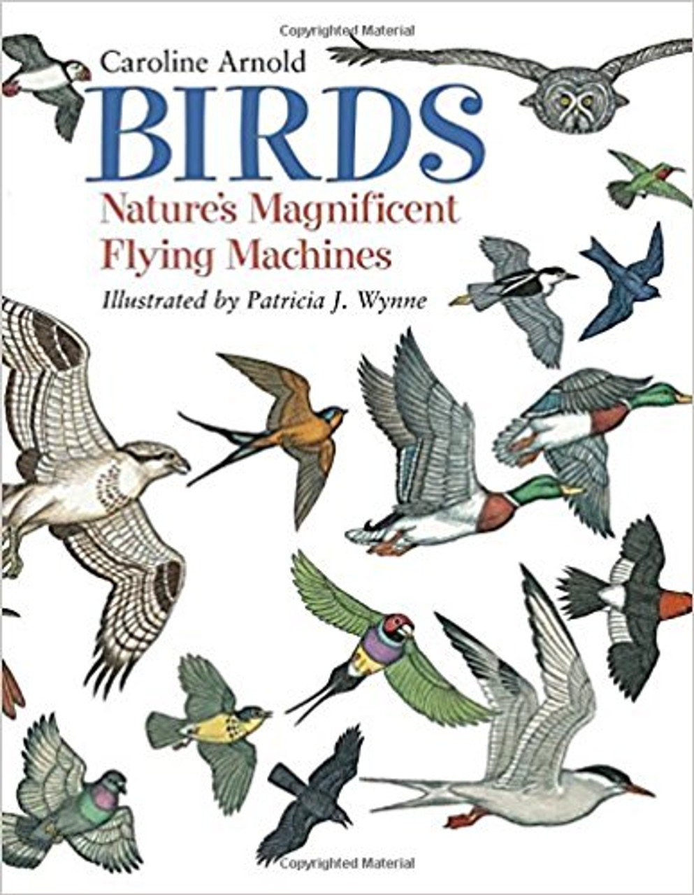 Birds: Nature's Magnificent Flying Machines by Caroline Arnold