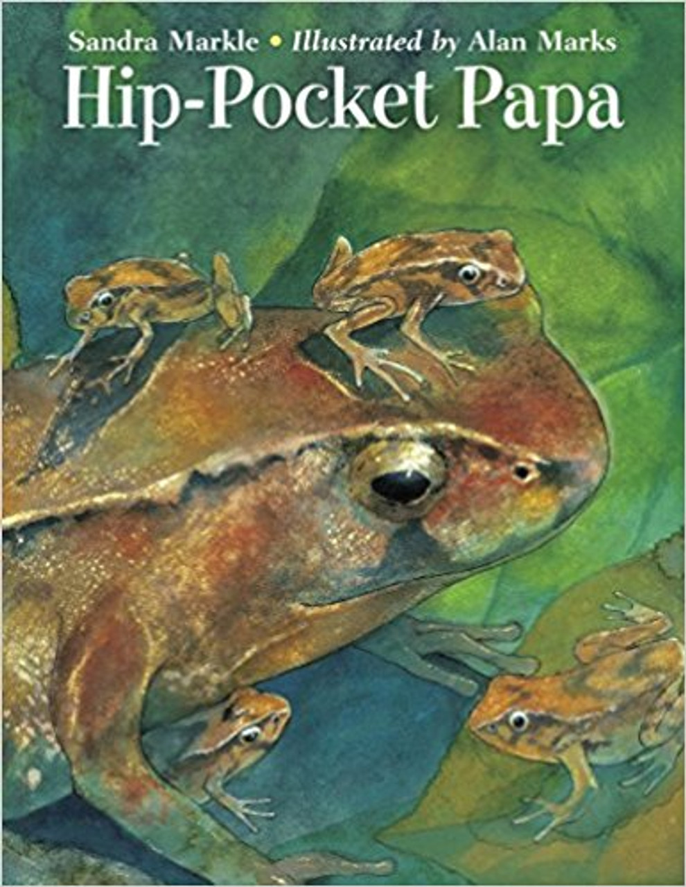 Hip-Pocket Papa by Sandra Markle