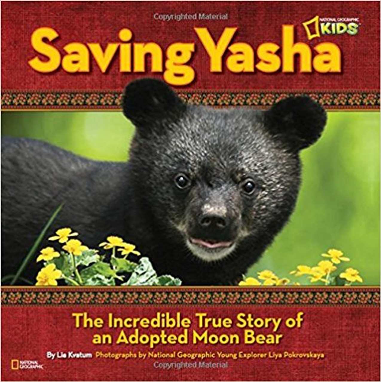 Saving Yasha: The Incredible True Story of an Adopted Moon Bear by Lia Kvatum