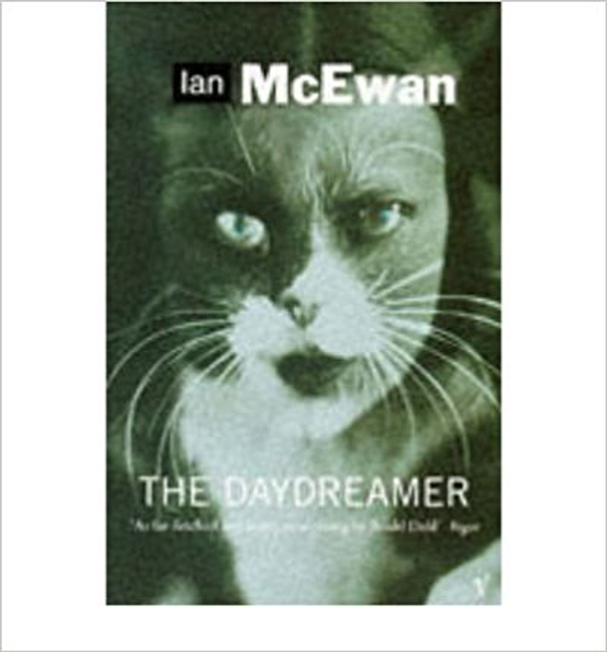 The Daydreamer by Jan McEwan