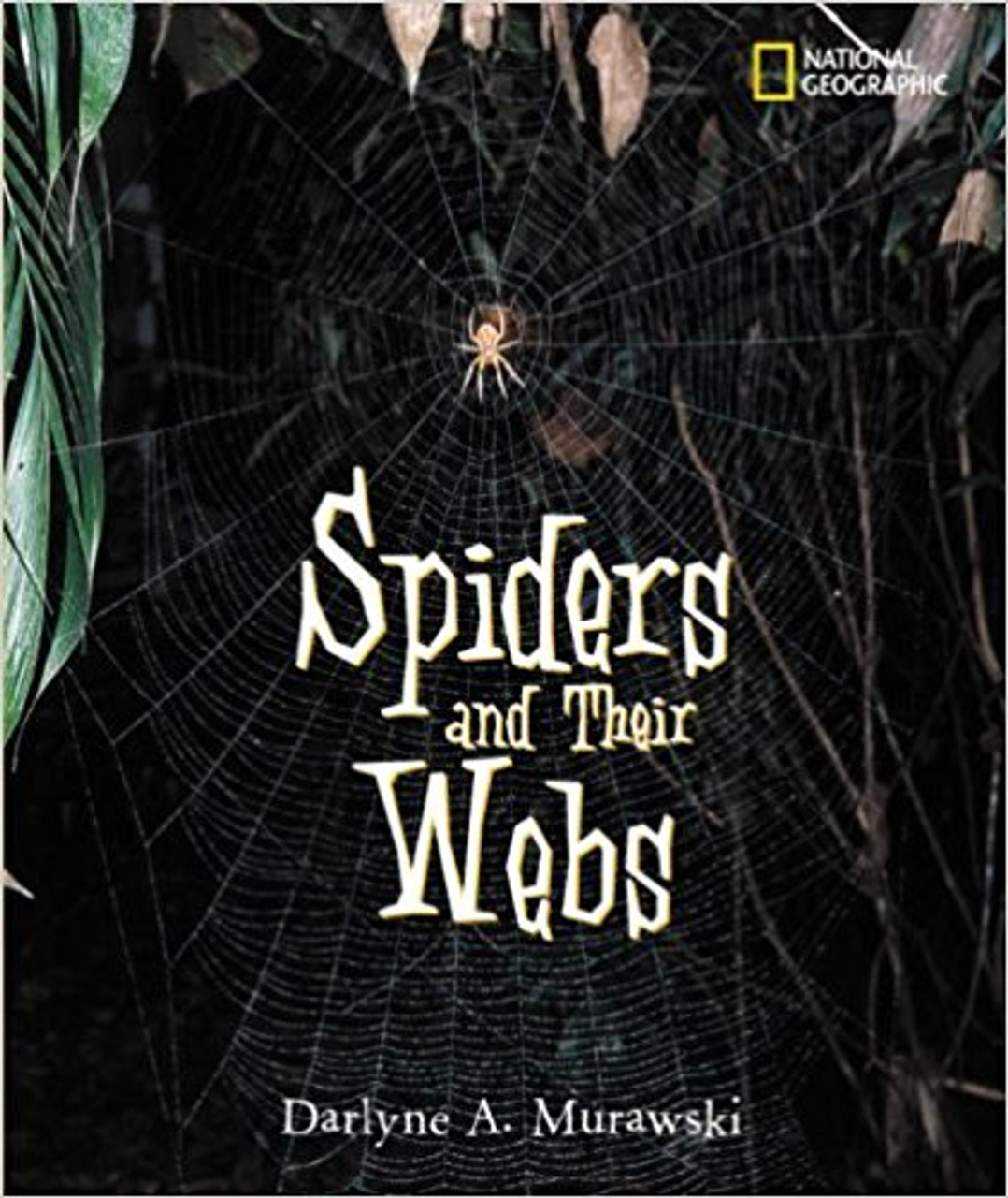 Spiders and Their Webs by Darlyne Murawski