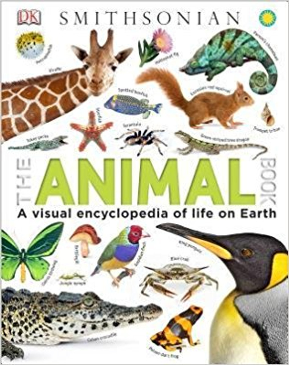The Animal Book: A Visual Encyclopedia of Life on Earth by Margaret Parrish