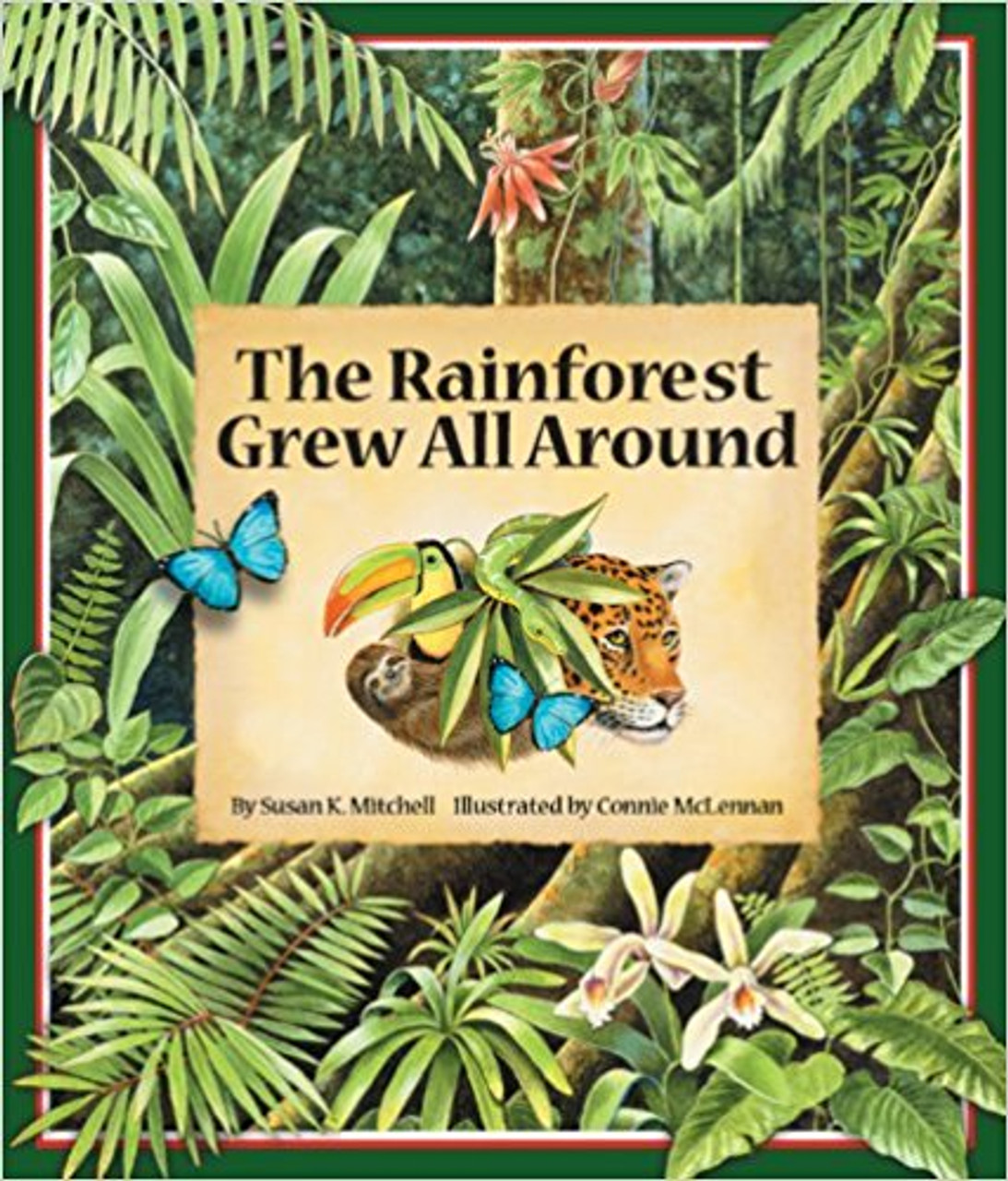 Rainforest Grew All Around, The by Susan K. Mitchell