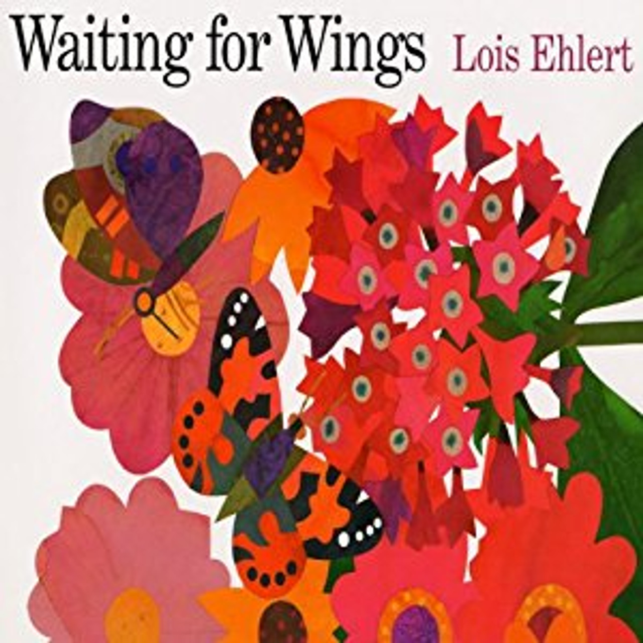 Waiting for Wings by Lois Ehlert