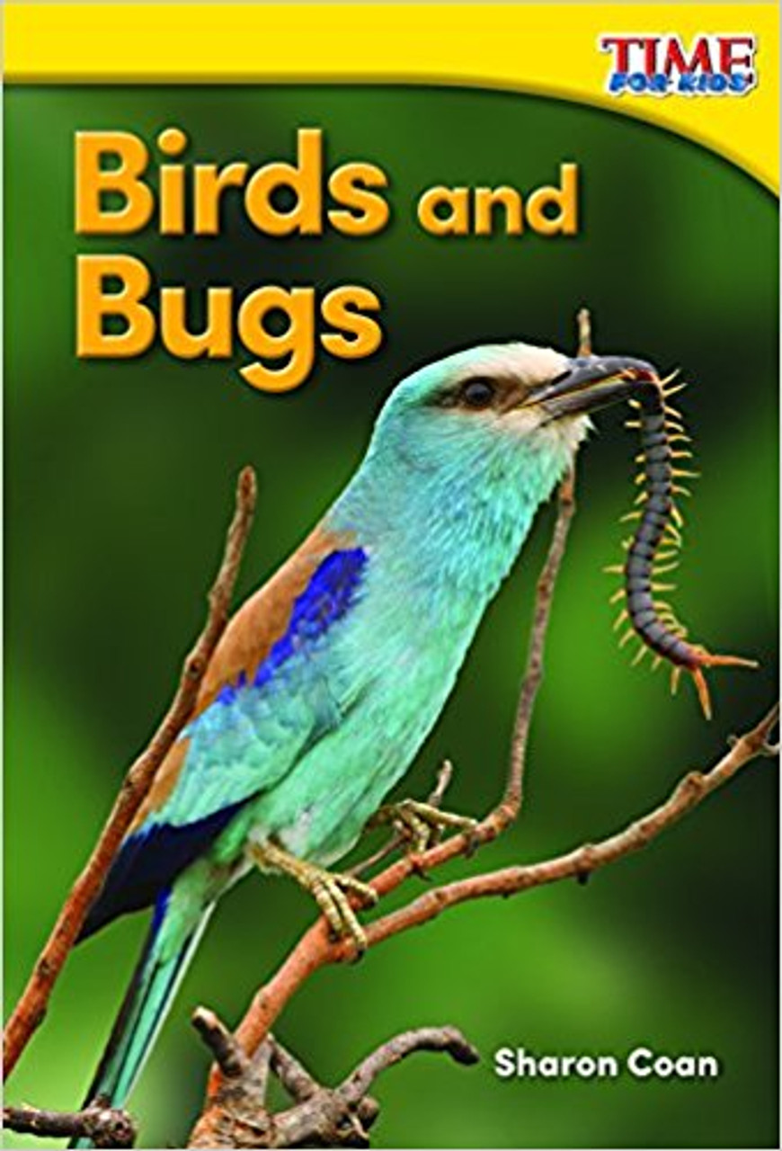 Birds and Bugs by Sharon Coan