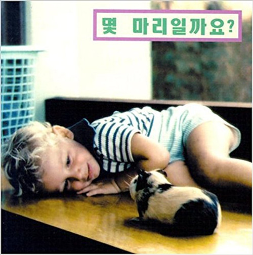 How Many? (Korean) by Cheryl Christian