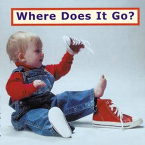 Where Does It Go? (English) by Cheryl Christian