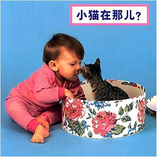 Where's the Kitten? (Simplified Chinese) by Cheryl Christian