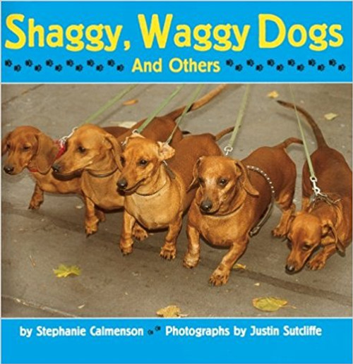 Shaggy, Waggy Dogs: And Others by Stephanie Calmenson