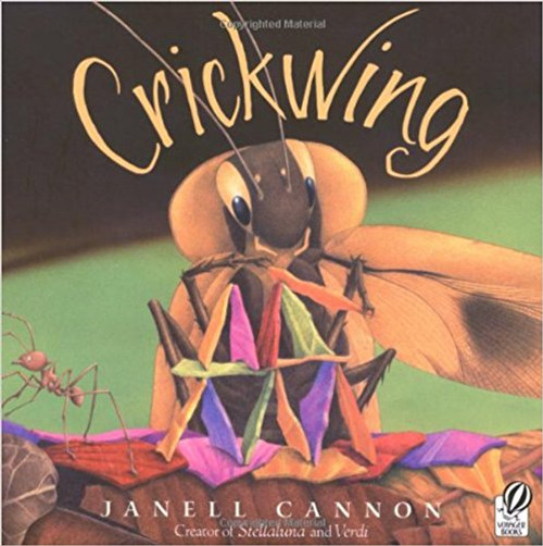 Crickwing by Janell Cannon