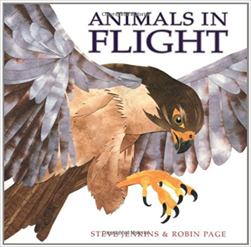 Animals in Flight by Steve Jenkins