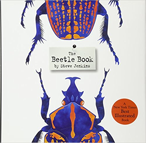 The Beetle Book (Hard Cover) by Steve Jenkins