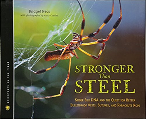 Stronger Than Steel: Spider Silk DNA and the Quest for Better Bulletproof Vests, Sutures, and Parachute Rope by Bridget Heos