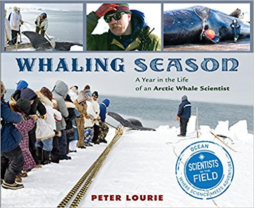 Whaling Season: A Year in the Life of an Arctic Whale Scientist by Peter Lourie