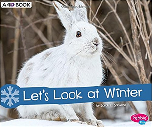 Let's Look at Winter: A 4D Book by Sarah L Schuette