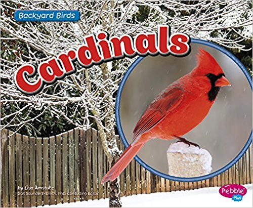 Cardinals by Lisa J Amstutz