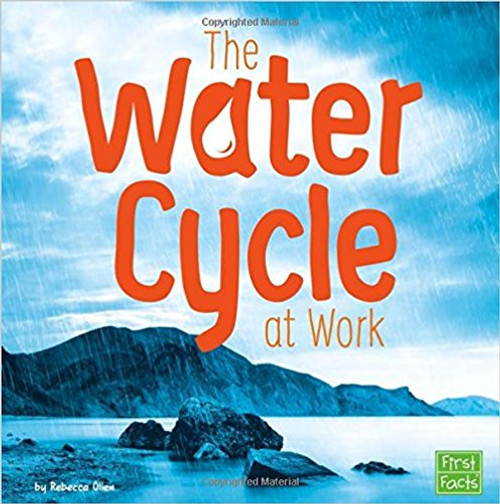 The Water Cycle at Work by Rebecca Olien