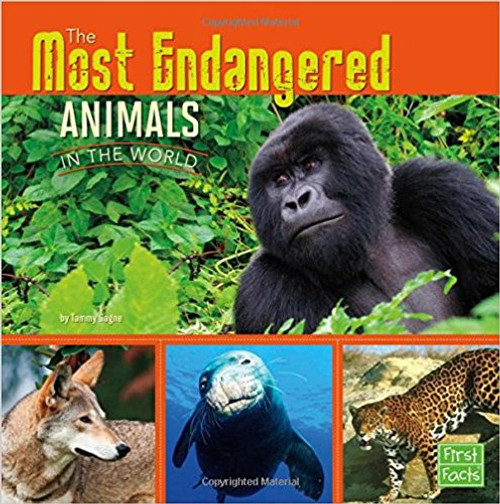 The Most Endangered Animals in the World by Tammy Gagne