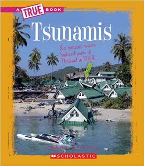 Tsunamis by Chana Stiefel