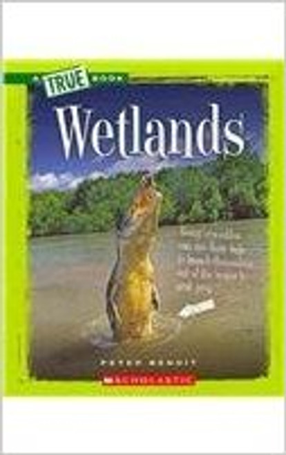 Wetlands by Peter Benoit