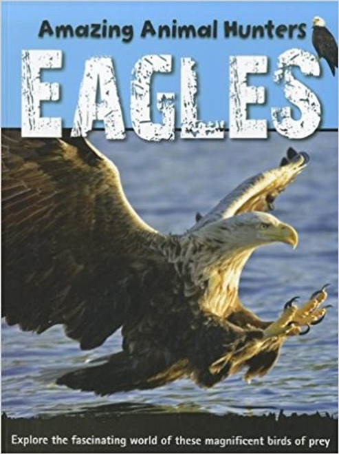 Eagles (Amazing Animal Hunters) by Sally Morgan