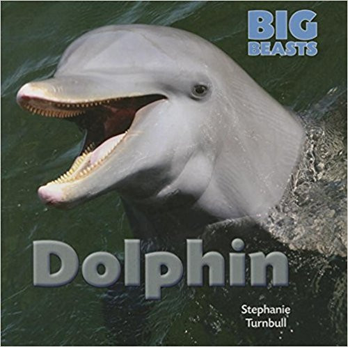 Dolphin - Big Beasts by Stephanie Turnbull