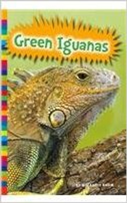 Green Iguanas (Paperback) by Elizabeth Raum