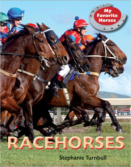Race Horses (Paperback) by Stephanie Turnbull