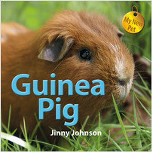 Guinea Pig (Paperback) by Jinny Johnson