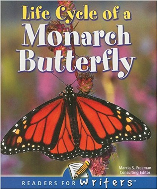 Describes The Life Cycle Of A Butterfly And How It Moves From One Stage To The Next.