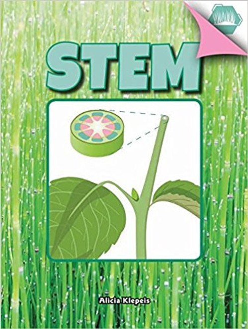 Ever wonder how plants reach toward the sun? Or how water gets from the roots to the leaves? A plant's stem is like a highway, transporting water and food where it's needed. Dig in to discover how stems work to support a plant's survival.