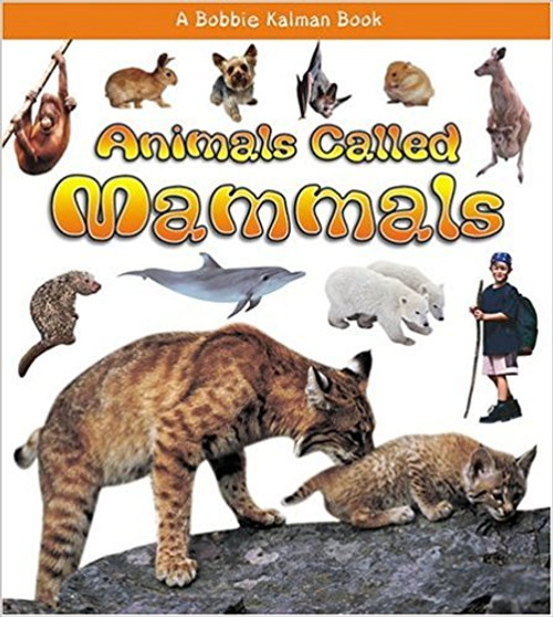 Animals Called Mammals (Paperback) by Bobbie Kalman