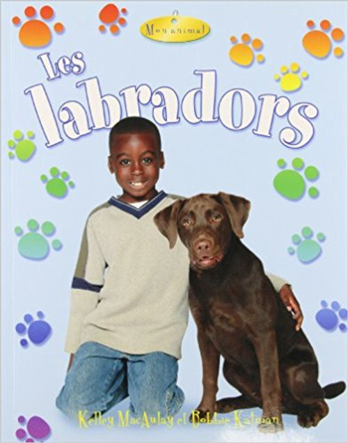 Les Labradors by Kelley MacAulay