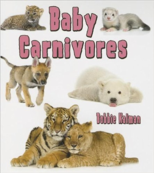 Baby Carnivores (Paperback) by Bobbie Kalman