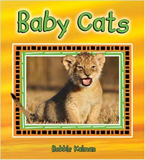 Baby Cats by Bobbie Kalman