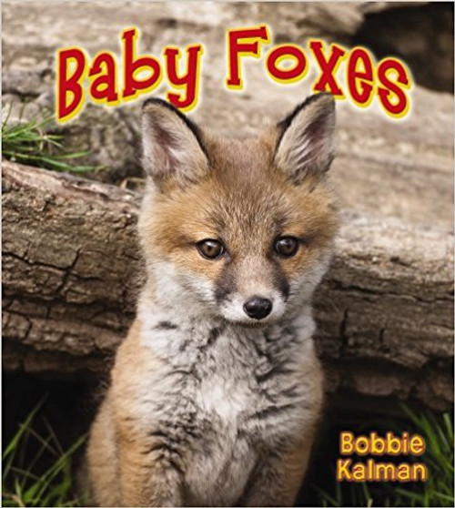 Baby Foxes (Paperback) by Bobbie Kalman