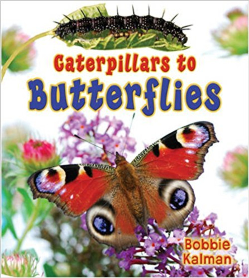 Caterpillars to Butterflies (Paperback) by Bobbie Kalman