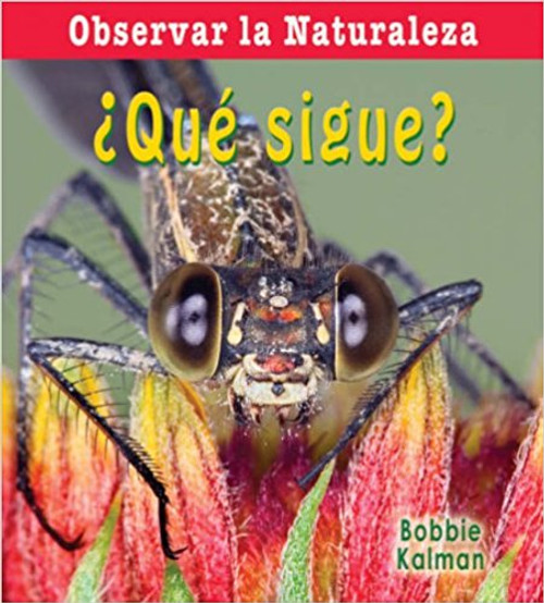 Que Sigue? by Bobbie Kalman