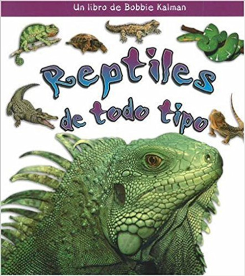 Reptiles de todo Tipo by Kelley MacAulay
