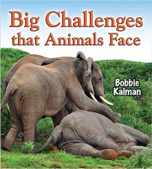 Big Challenges That Animals Face (Paperback) by Bobbie Kalman