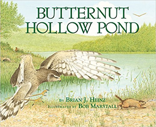 Butternut Hollow Pond by Brian J Heinz