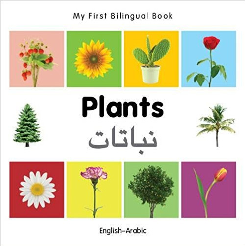 Plants (Arabic) by Millet Publishing