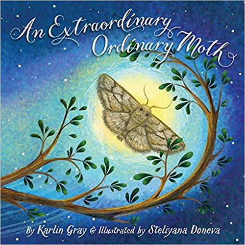 An Extraordinary Ordinary Moth by Karlin Gray