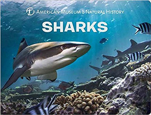 Sharks by American Museum of Natural History