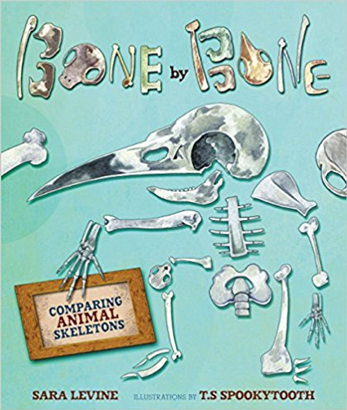 Bone by Bone: Comparing Animal Skeletons by Sara C Levine