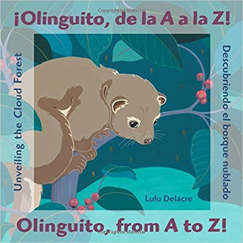 Olinguito, de La A a la Z!/Olinguito, from A to Z! by Lulu Delacre 