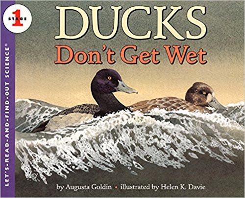 Describes the behavior of different kinds of ducks and, in particular, discusses how all ducks use preening to keep their feathers dry. Describes the behavior of different kinds of ducks and, in particular, discusses how all ducks use preening to keep their feathers dry.
