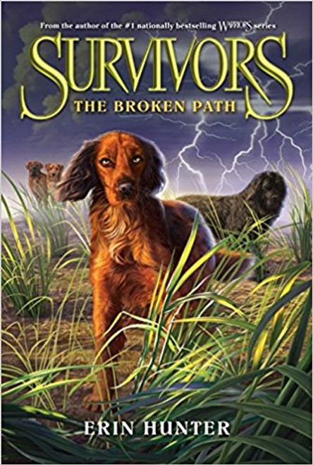 The Broken Path by Erin Hunter