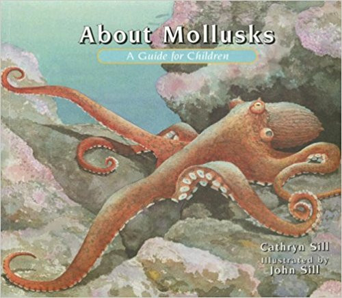 About Mollusks by Cathryn Sill